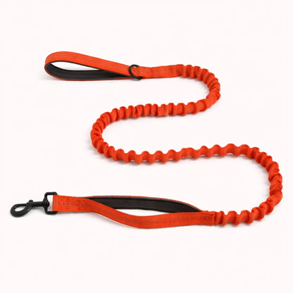 🎁 Laisse élastique EasyWalk OFFERTE