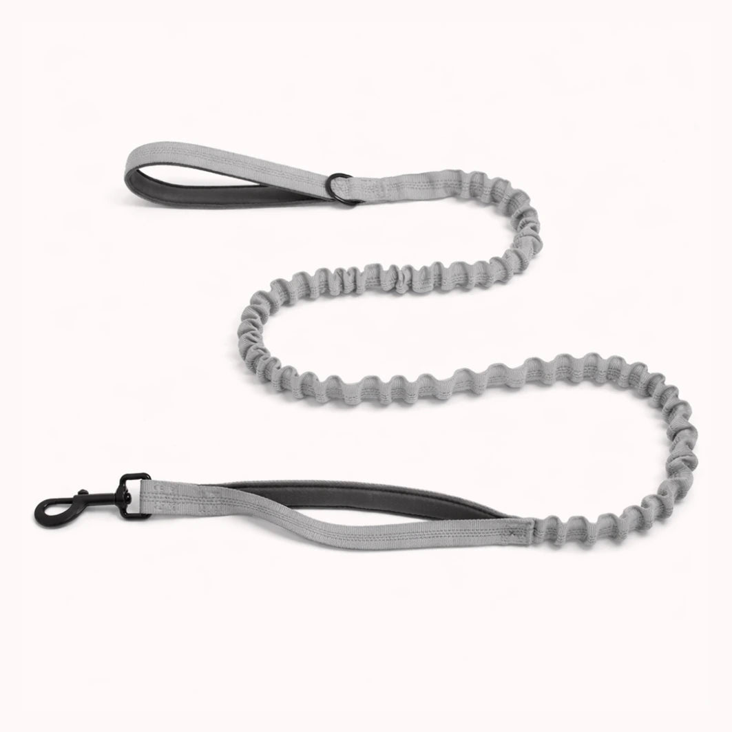 🎁 Laisse élastique EasyWalk OFFERTE