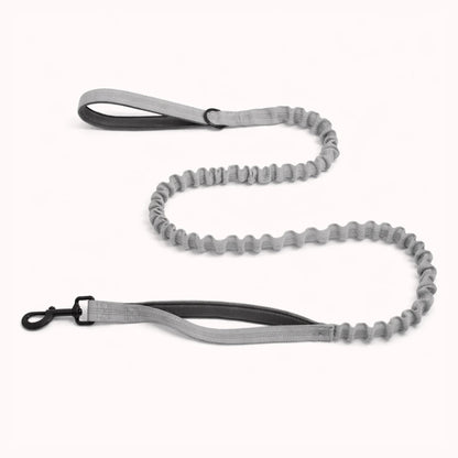 🎁 Laisse élastique EasyWalk OFFERTE
