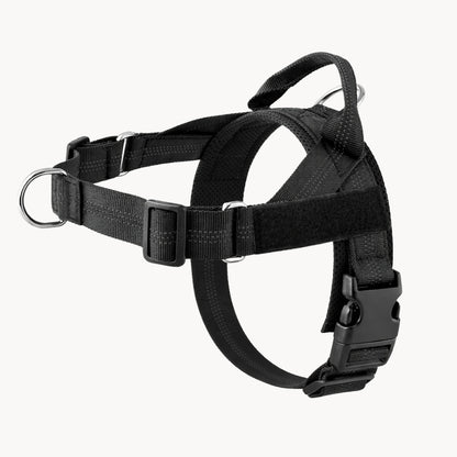 EasyWalk - Harnais Anti-Traction pour Chien