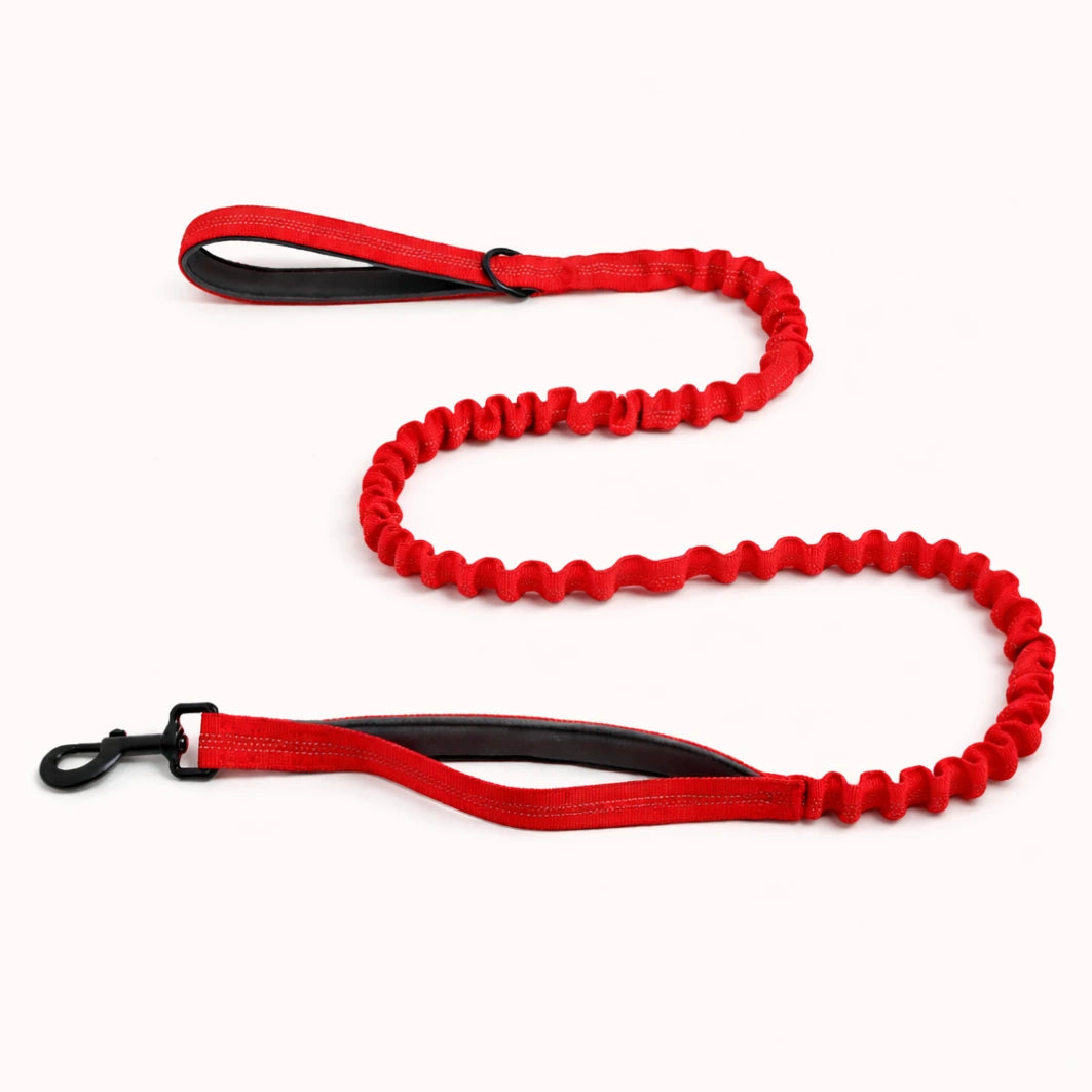 🎁 Laisse élastique EasyWalk OFFERTE