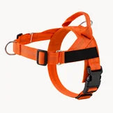 EasyWalk - Harnais Anti-Traction pour Chien