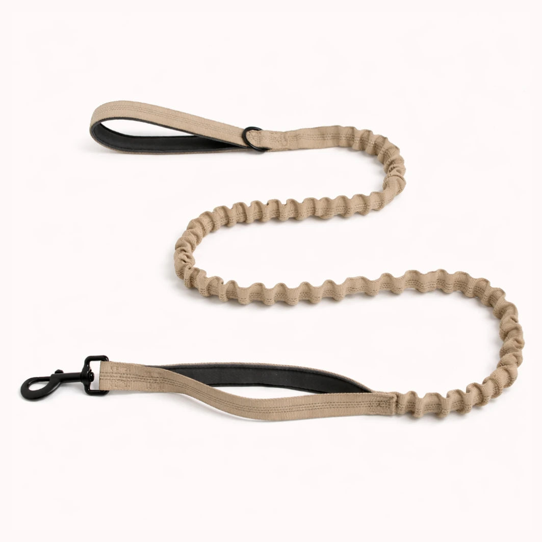 🎁 Laisse élastique EasyWalk OFFERTE