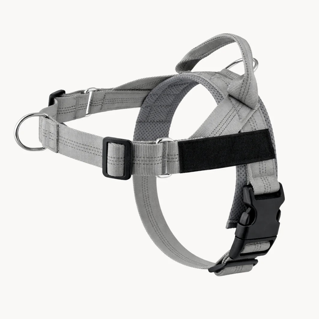 EasyWalk - Harnais Anti-Traction pour Chien