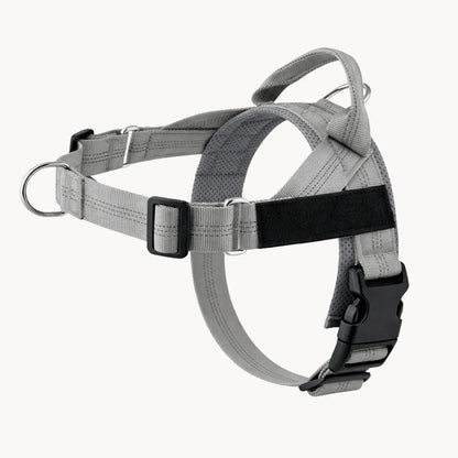 EasyWalk - Harnais Anti-Traction pour Chien