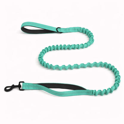 🎁 Laisse élastique EasyWalk OFFERTE