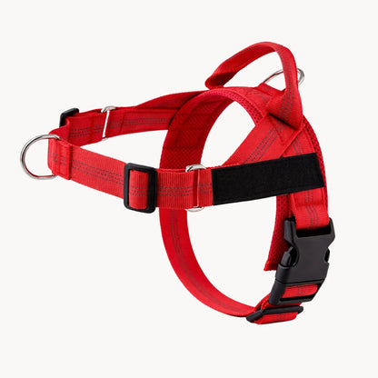EasyWalk - Harnais Anti-Traction pour Chien