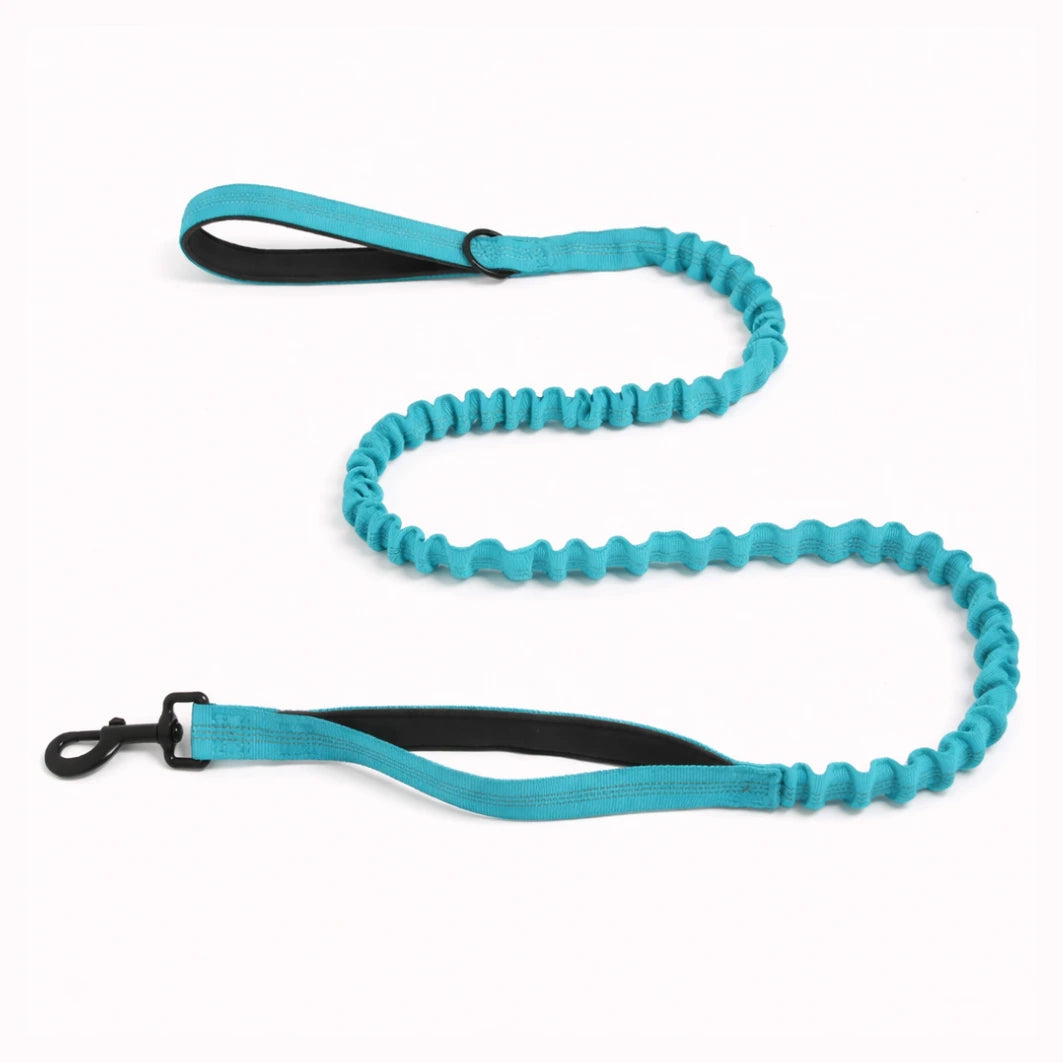 🎁 Laisse élastique EasyWalk OFFERTE