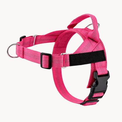 EasyWalk - Harnais Anti-Traction pour Chien