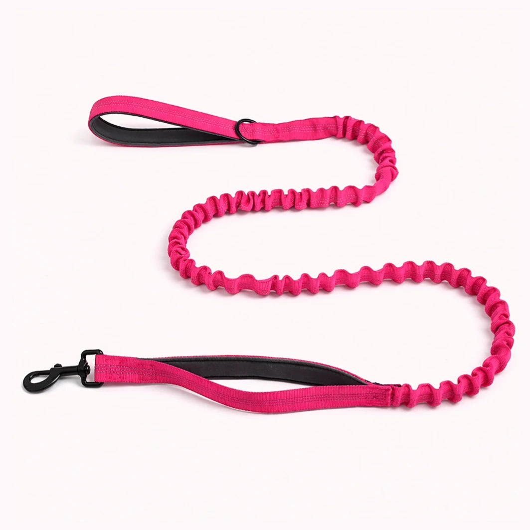 🎁 Laisse élastique EasyWalk OFFERTE