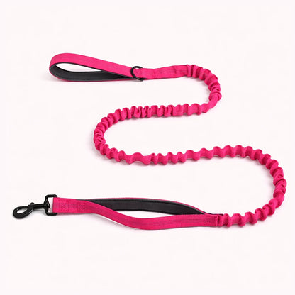 🎁 Laisse élastique EasyWalk OFFERTE