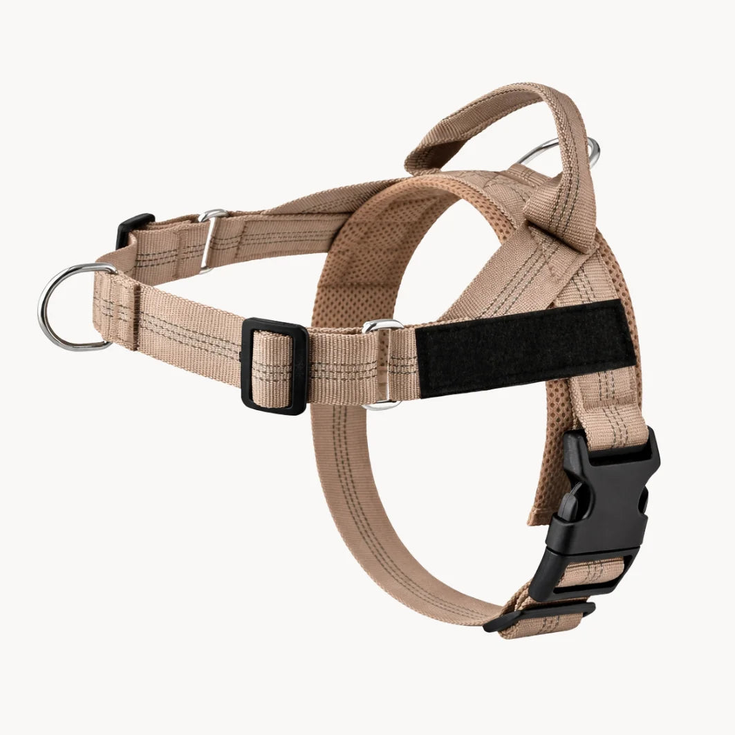 EasyWalk - Harnais Anti-Traction pour Chien