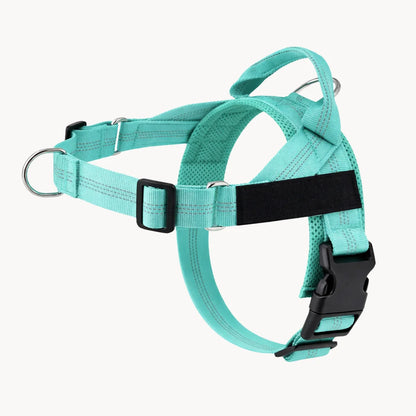 EasyWalk - Harnais Anti-Traction pour Chien