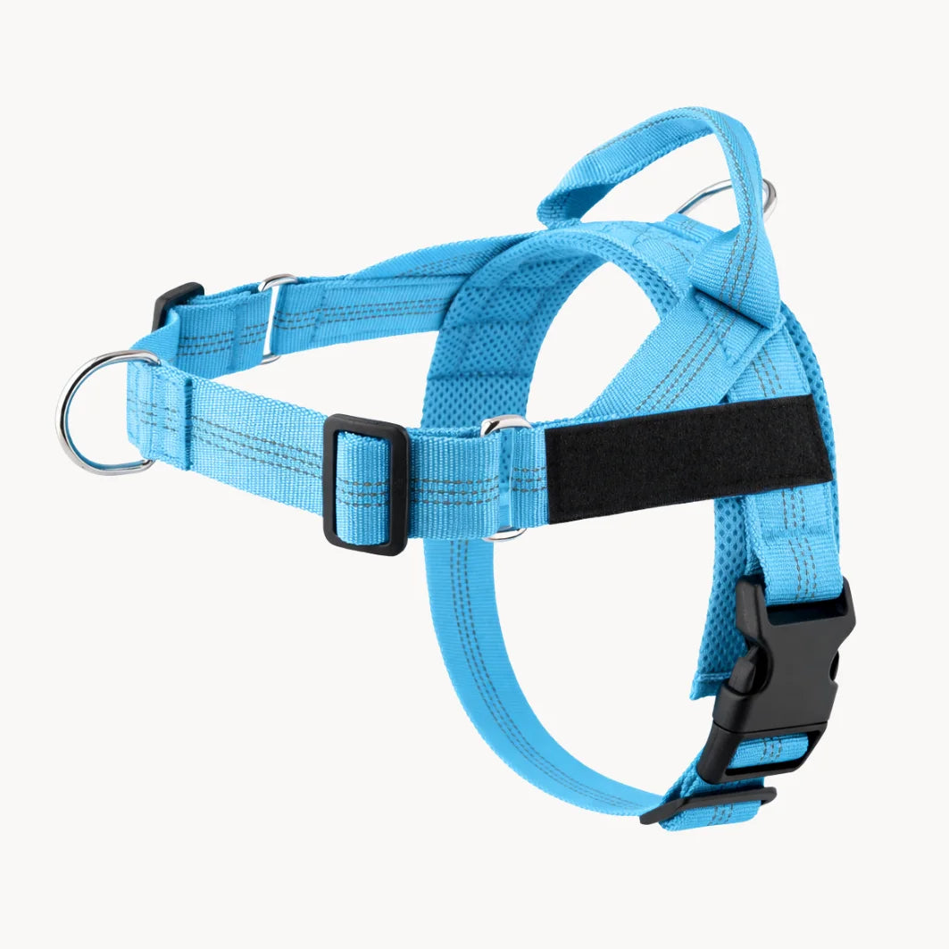 EasyWalk - Harnais Anti-Traction pour Chien