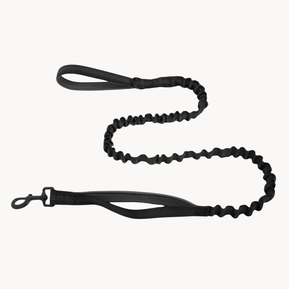 🎁 Laisse élastique EasyWalk OFFERTE