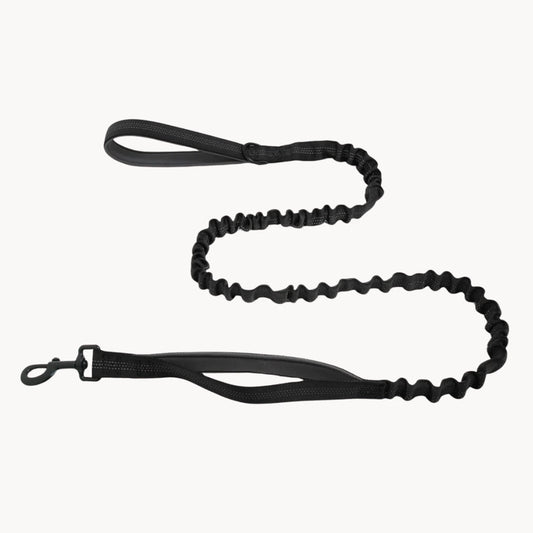 🎁 Laisse élastique EasyWalk OFFERTE