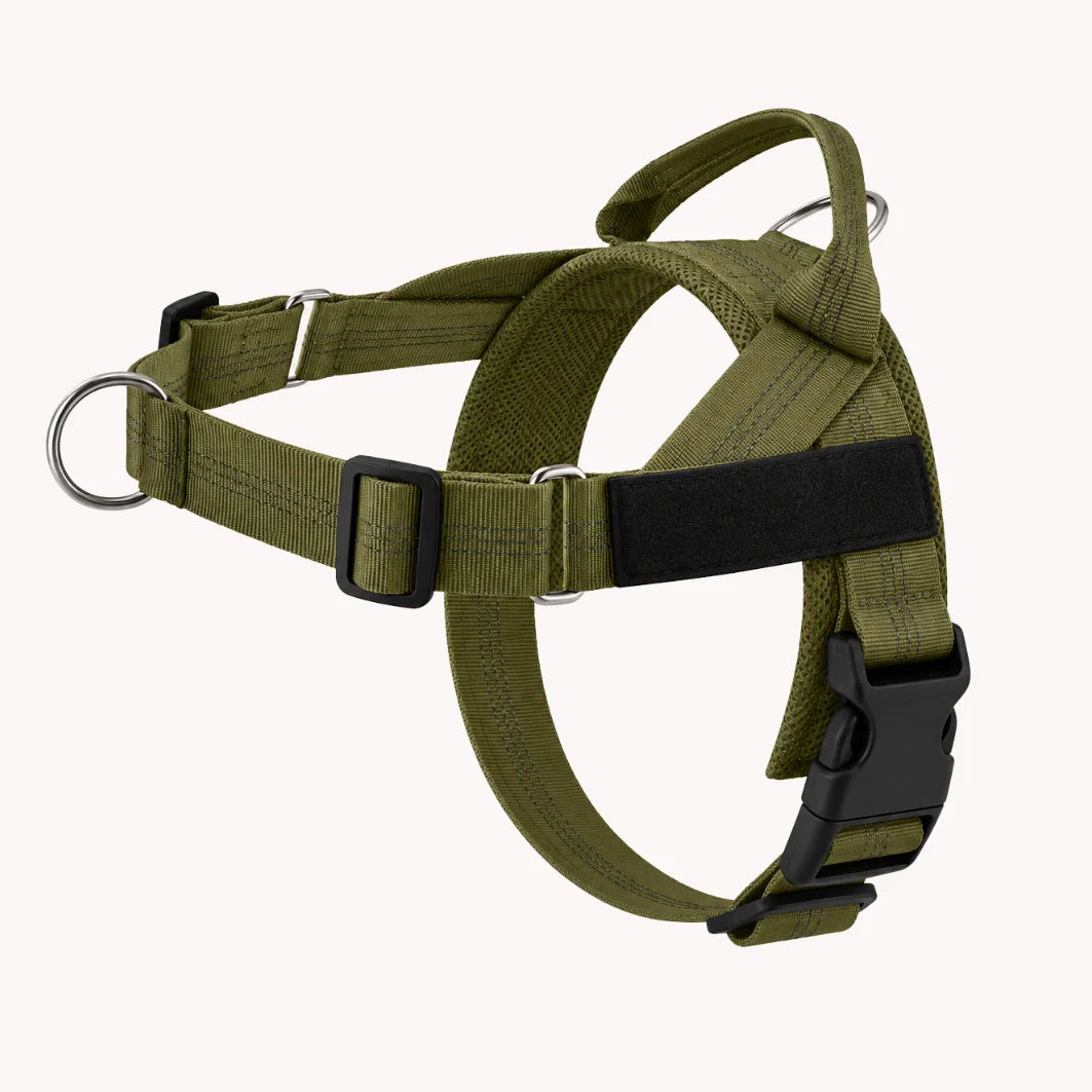 EasyWalk - Harnais Anti-Traction pour Chien
