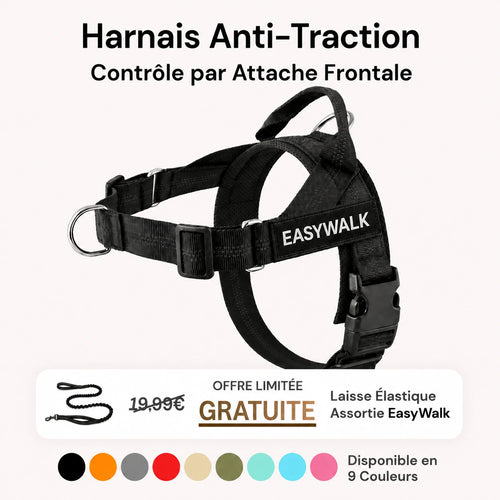 EasyWalk - Harnais Anti-Traction pour Chien