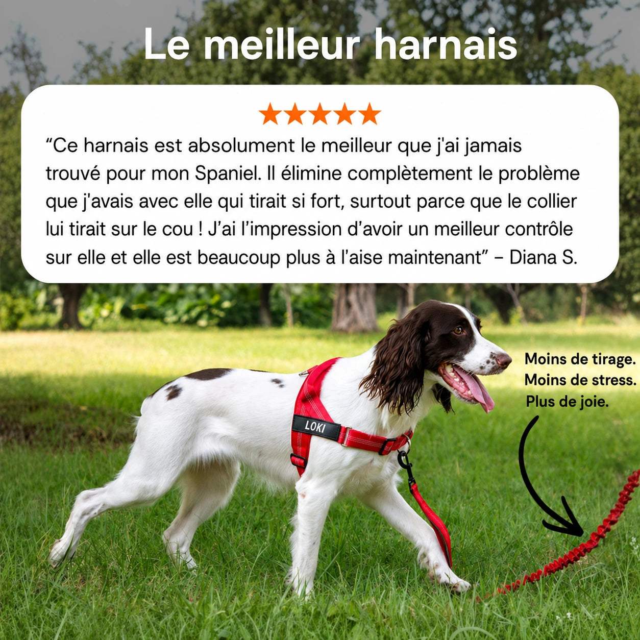 EasyWalk - Harnais Anti-Traction pour Chien
