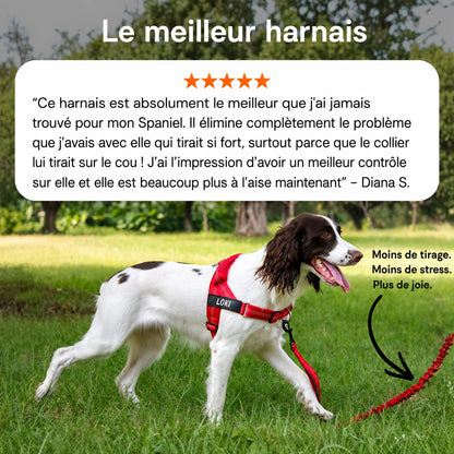 EasyWalk - Harnais Anti-Traction pour Chien