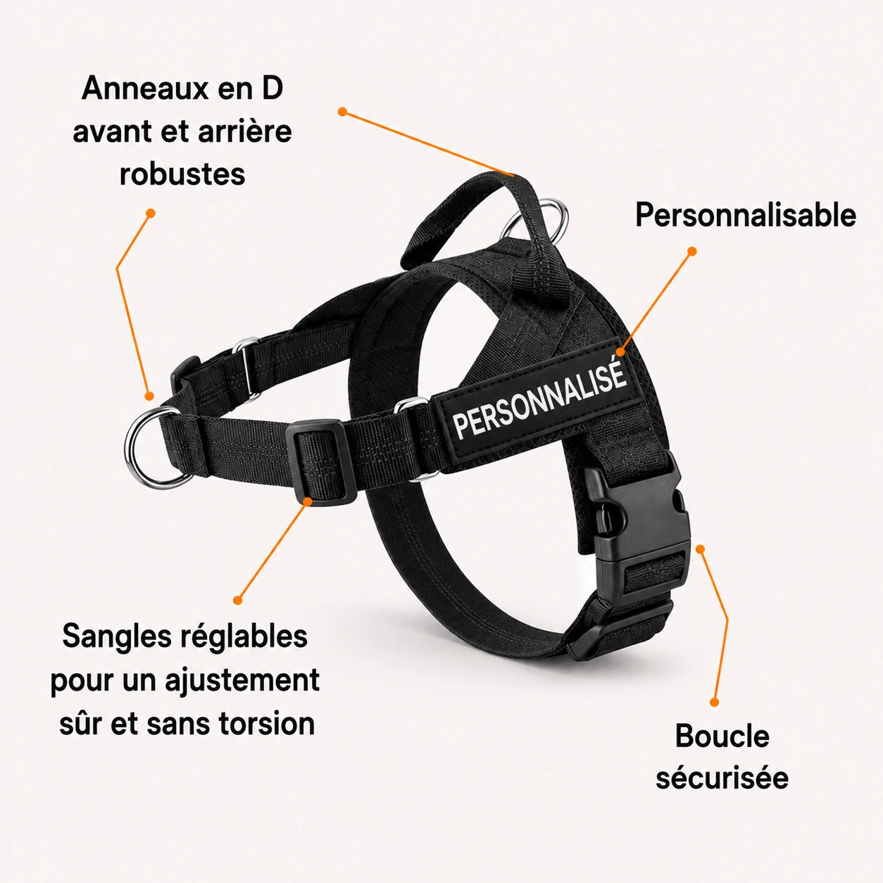 EasyWalk - Harnais Anti-Traction pour Chien