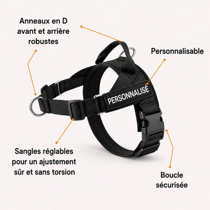 EasyWalk - Harnais Anti-Traction pour Chien