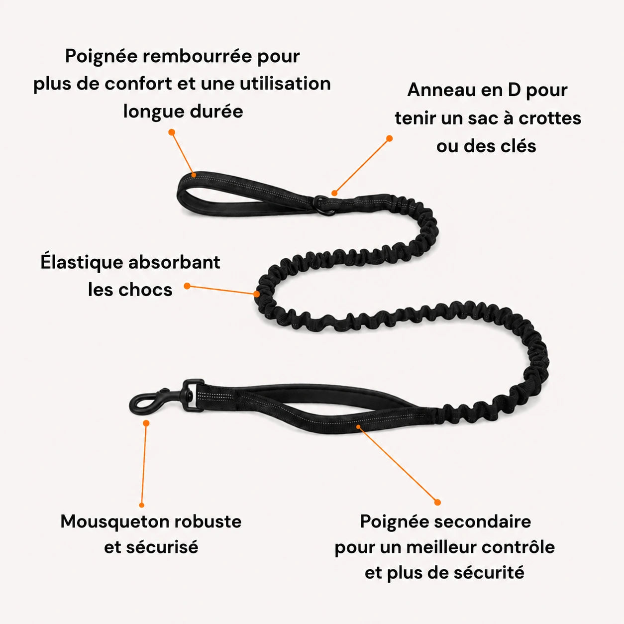 EasyWalk - Harnais Anti-Traction pour Chien