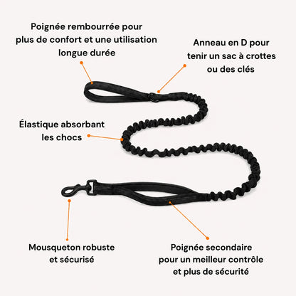 EasyWalk - Harnais Anti-Traction pour Chien
