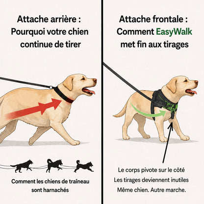 EasyWalk - Harnais Anti-Traction pour Chien