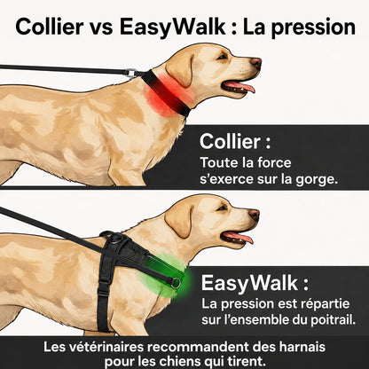 EasyWalk - Harnais Anti-Traction pour Chien