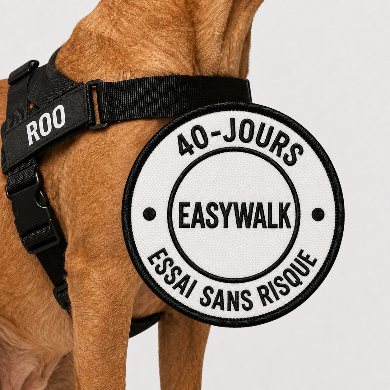 EasyWalk - Harnais Anti-Traction pour Chien