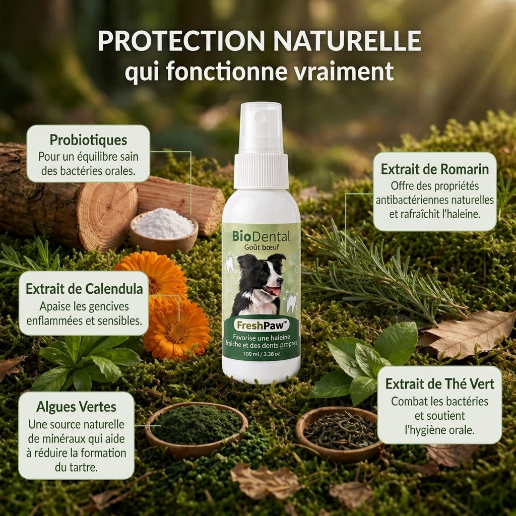 Spray Dentaire FreshPaw™ – Élimine les facteurs responsables du tartre et de la mauvaise haleine chez les chiens