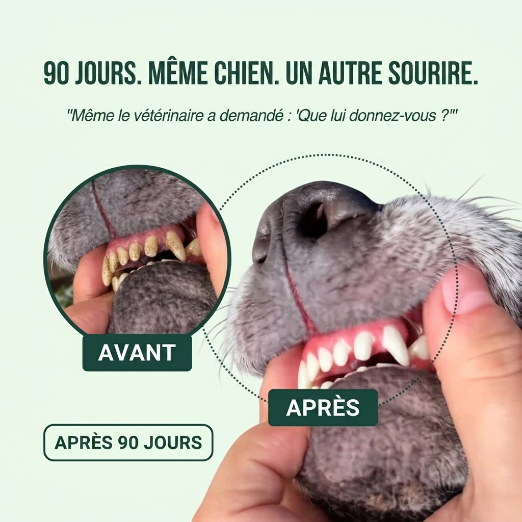Spray Dentaire FreshPaw™ – Élimine les facteurs responsables du tartre et de la mauvaise haleine chez les chiens