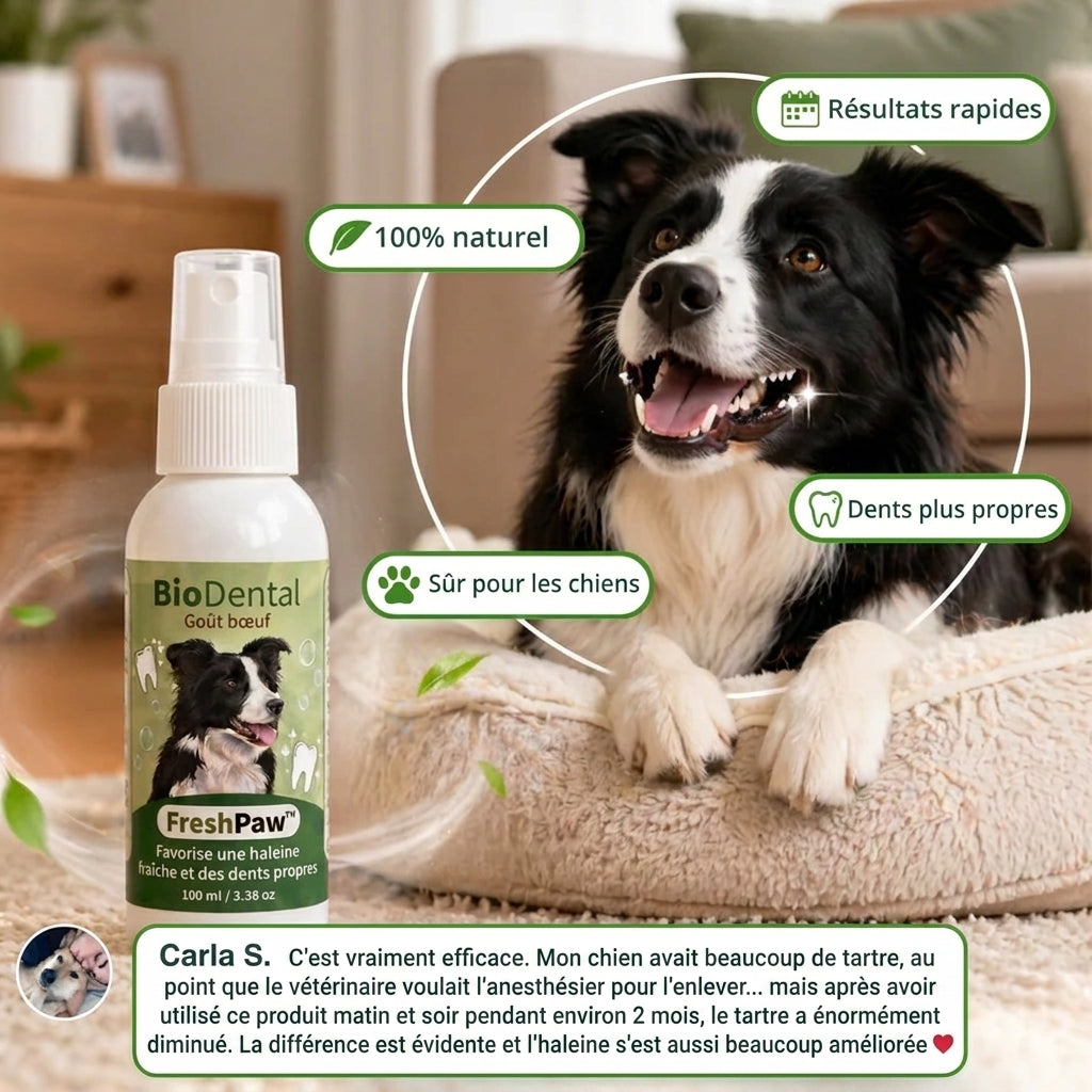Spray Dentaire FreshPaw™ – Élimine les facteurs responsables du tartre et de la mauvaise haleine chez les chiens