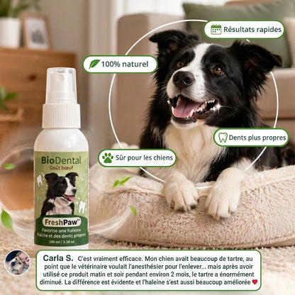 Spray Dentaire FreshPaw™ – Élimine les facteurs responsables du tartre et de la mauvaise haleine chez les chiens