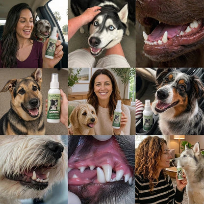 Spray Dentaire FreshPaw™ – Élimine les facteurs responsables du tartre et de la mauvaise haleine chez les chiens