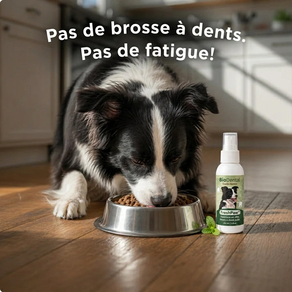 Spray Dentaire FreshPaw™ – Élimine les facteurs responsables du tartre et de la mauvaise haleine chez les chiens