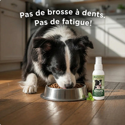 Spray Dentaire FreshPaw™ – Élimine les facteurs responsables du tartre et de la mauvaise haleine chez les chiens