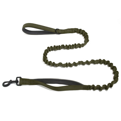 🎁 Laisse élastique EasyWalk OFFERTE